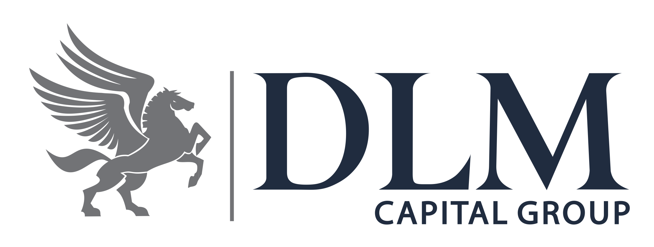 DLM Logo